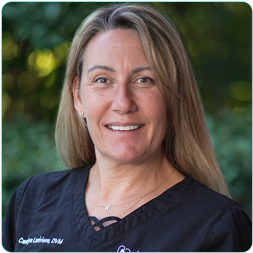 Dr. Carolyn Lariviere, Veterinary Dental Center of Atlanta