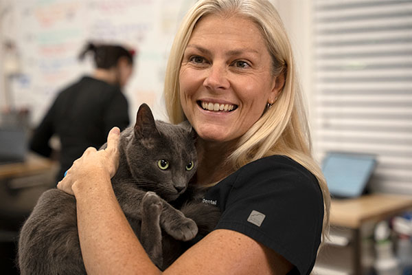 Dr. Jodi and cat snuggling after professional dental procedure at veterinary dental clinic