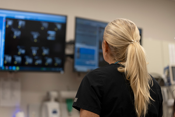 Dr. Jodi looking at Veterinary dental X-ray showing canine tooth root abscess