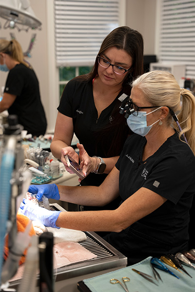 Dr. Jodi performing dental procedure at Veterinary Dental Clinic of Atlanta