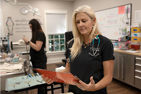 Dr. Jodi reviewing a chart of dog's teeth following veterinary dental procedure