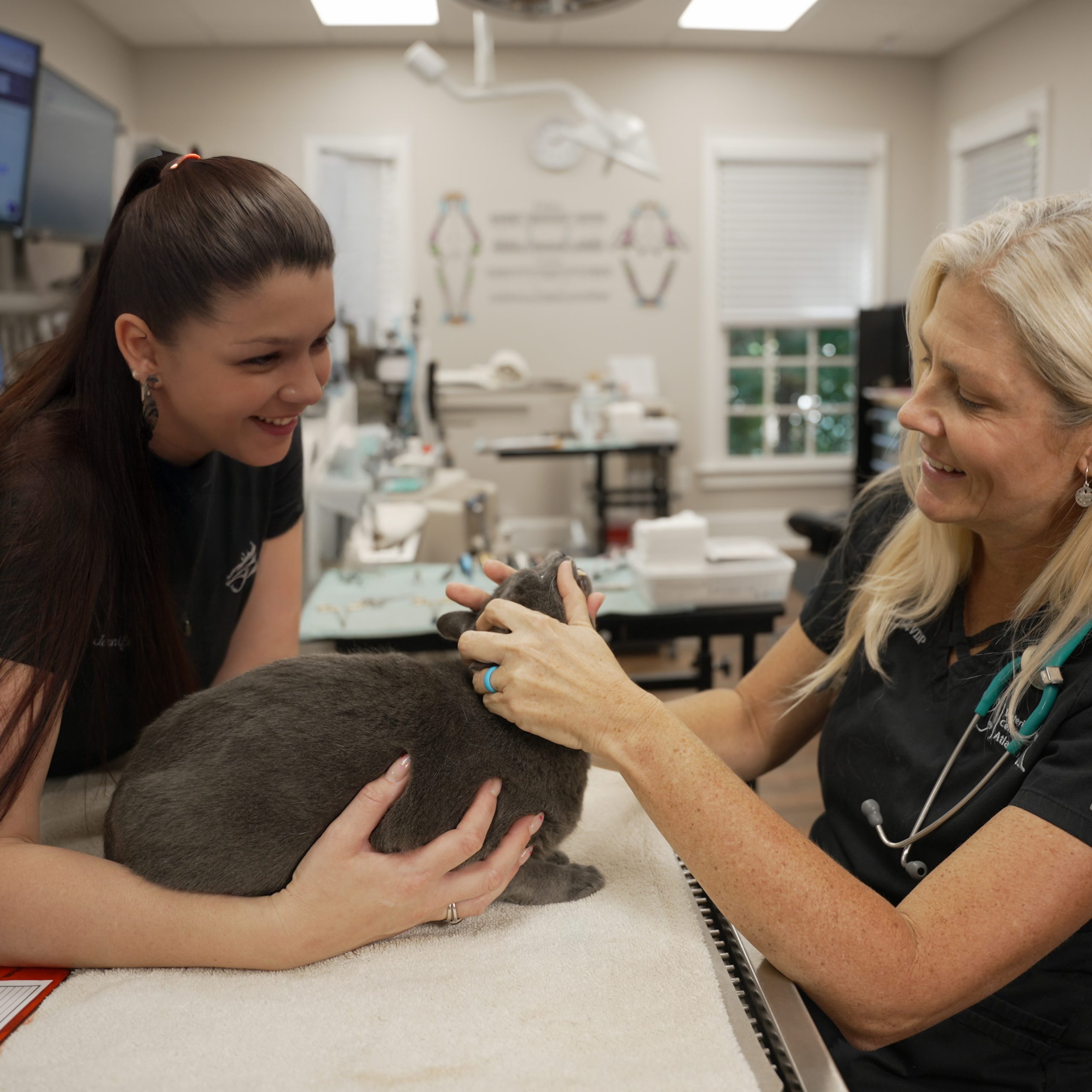 Vet Tech Careers at VDCA