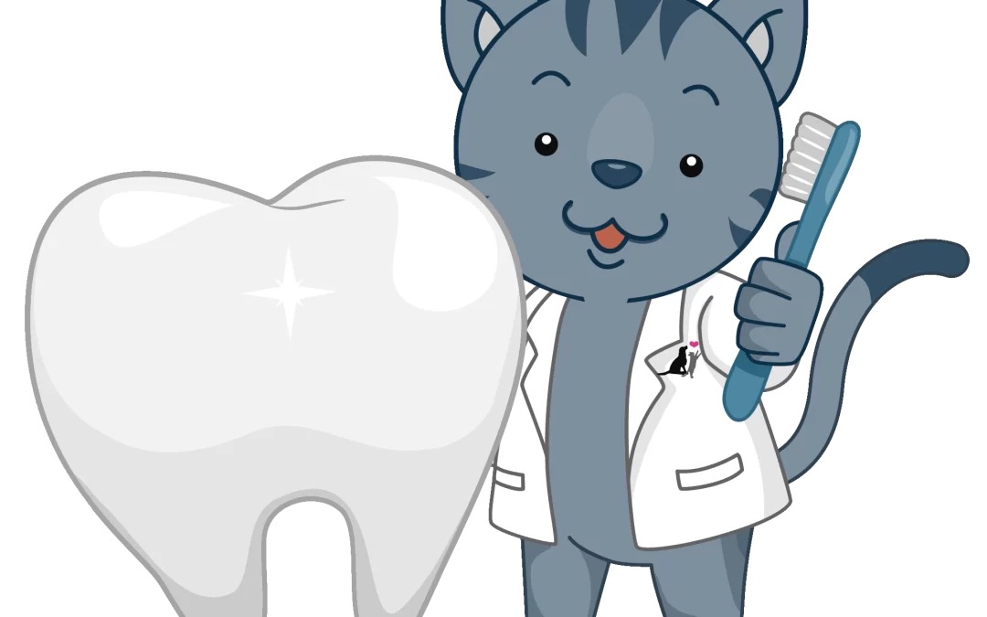 Kitten Teeth Cleaning Services at Veterinary Dental Center of Atlanta