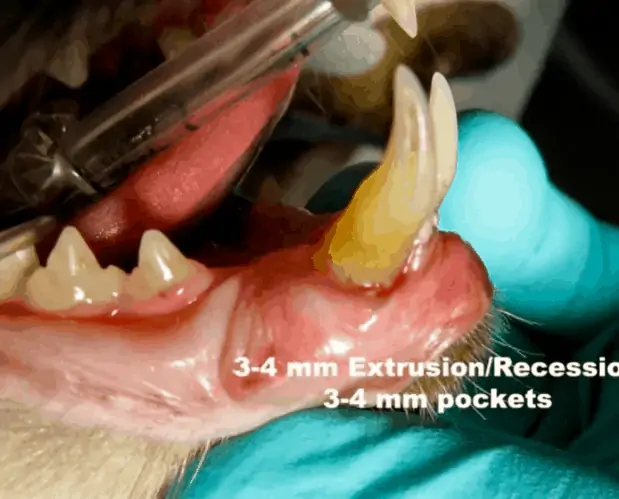 patient-with-gross-change-on-the-right-side