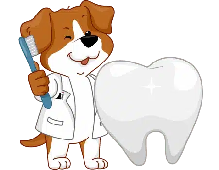 Atlanta’s Veterinary Dental Center: Teeth Cleaning for Puppies