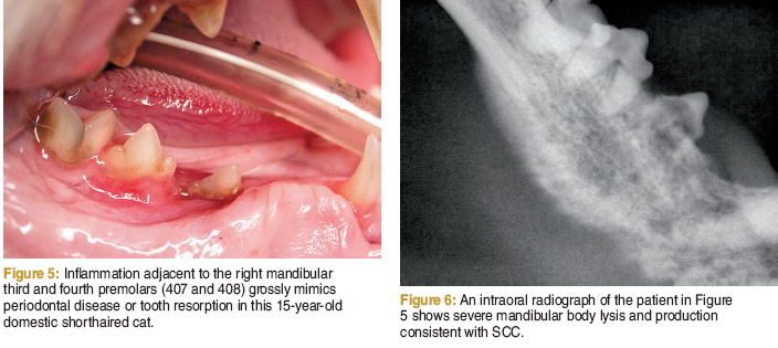 Oral inflammation